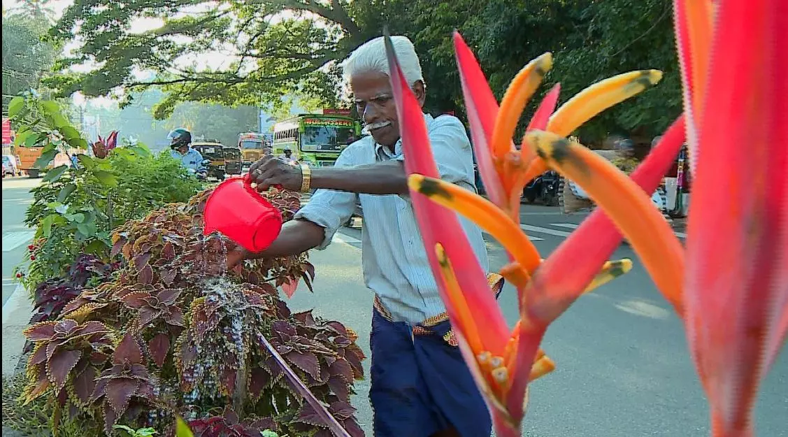 ദേശീയപാത ഡിവൈഡറില്‍ പൂവിരിച്ച് മാധവന്‍ 
