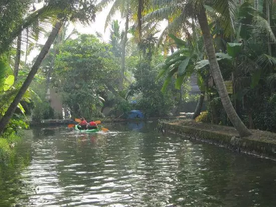 വെള്ളം താഴ്ന്നു, ആലപ്പുഴയിലെ കനാലുകളില് നിന്ന് വെള്ളം ഒഴുക്കാനുള്ള മാര്ഗങ്ങളെക്കുറിച്ചുള്ള പരിശോധനയും നിലച്ചു വെള്ളം താഴ്ന്നു, ആലപ്പുഴയിലെ കനാലുകളില് നിന്ന് വെള്ളം ഒഴുക്കാനുള്ള മാര്ഗങ്ങളെക്കുറിച്ചുള്ള പരിശോധനയും നിലച്ചു