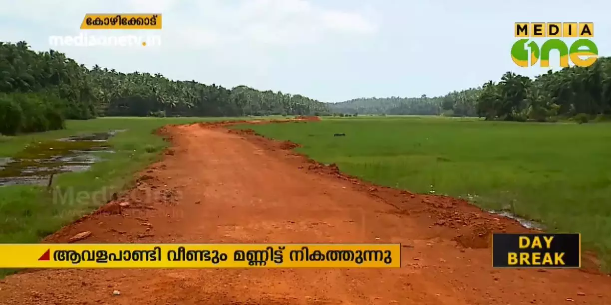 കോഴിക്കോടിന്റെ നെല്ലറയായ ആവളപ്പാണ്ടിപ്പാടം വീണ്ടും മണ്ണിട്ട് നികത്തുന്നു: നീക്കം ഗെയില്‍ പദ്ധതിയുടെ മറവില്‍