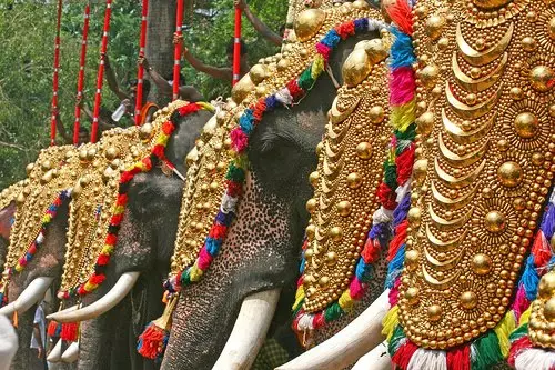 തൃശൂര് പൂരത്തിലെ ആനവിലക്ക്; ആന ഉടമകളുമായി സര്ക്കാര് ഇന്ന് ചര്ച്ച നടത്തും തൃശൂര് പൂരത്തിലെ ആനവിലക്ക്; ആന ഉടമകളുമായി സര്ക്കാര് ഇന്ന് ചര്ച്ച നടത്തും