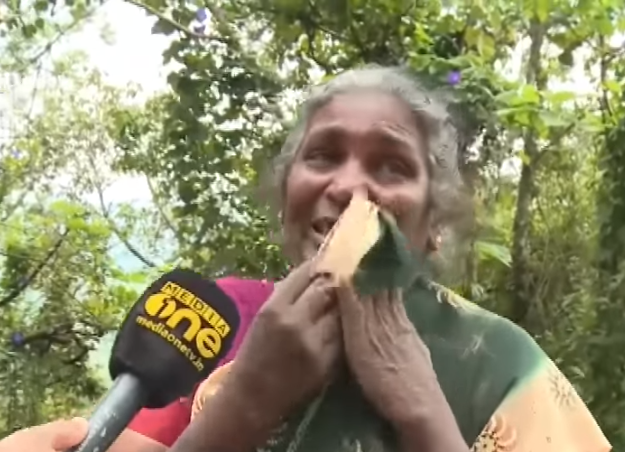 കാട്ടാനകള്‍ കൂട്ടമായി നാട്ടിലേക്ക്; ഭീതിയില്‍ ഹൈറേഞ്ചുകാര്‍