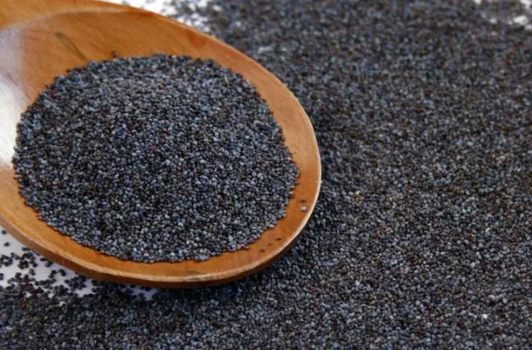 കസ്കസ് അത്ര നിസാരക്കാരനല്ല, ഔഷധഗുണങ്ങളുടെ കാര്യത്തില് ഭീകരനാണ് കൊടുംഭീകരന് കസ്കസ് അത്ര നിസാരക്കാരനല്ല, ഔഷധഗുണങ്ങളുടെ കാര്യത്തില് ഭീകരനാണ് കൊടുംഭീകരന്