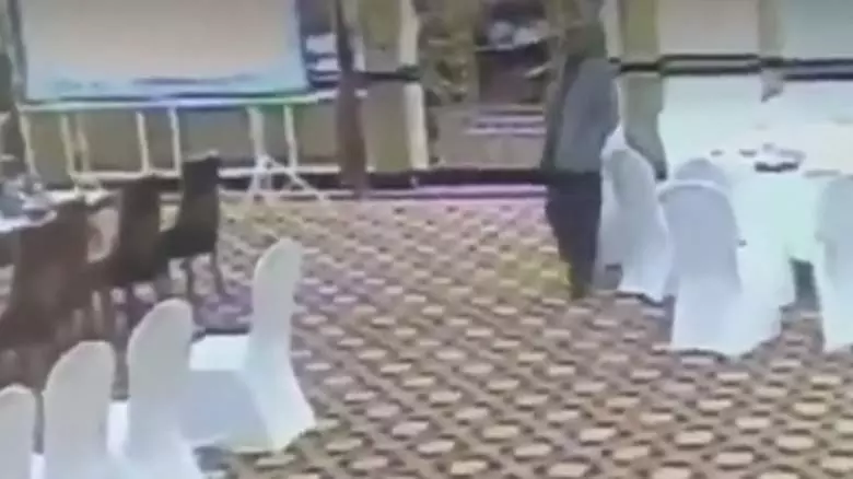 ‘പോക്കറ്റടി’ വീഡിയോ വൈറലായി; പാക് ഉദ്യോഗസ്ഥന് സസ്‍പെന്‍ഷന്‍