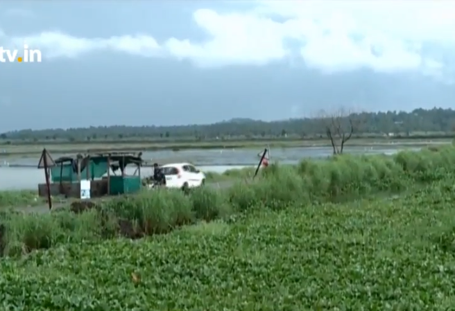 കണ്ണെത്താ ദൂരത്തോളം കോള്‍പ്പാടങ്ങള്‍, കണ്ടു മതിവരില്ല പുള്ളിനെ