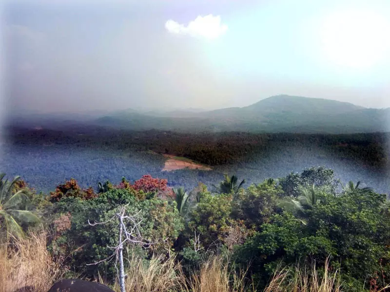 ചെങ്ങോട്ടുമലയില് ഖനനം നടത്തരുത്; ഗ്രാമസഭ പ്രമേയം പാസാക്കി ചെങ്ങോട്ടുമലയില് ഖനനം നടത്തരുത്; ഗ്രാമസഭ പ്രമേയം പാസാക്കി