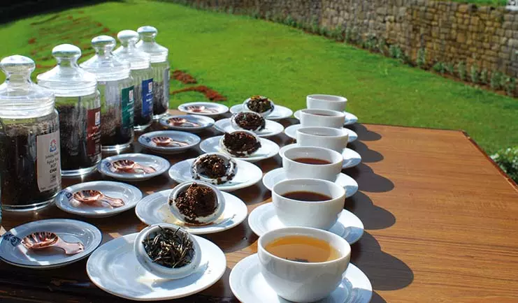 ചായ രുചിയും ചായ ചരിത്രവും പകര്‍ന്ന് മലബാറിലെ ആദ്യത്തെ ടീ മ്യൂസിയം വയനാട് തുടങ്ങി