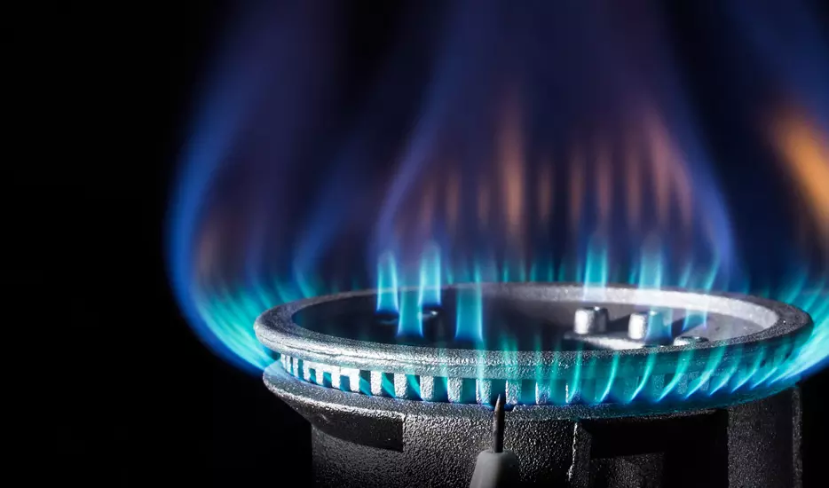 പാചകത്തിൽ വിറകിനേക്കാൾ സുരക്ഷിതം ഗ്യാസ്: പഠനം 