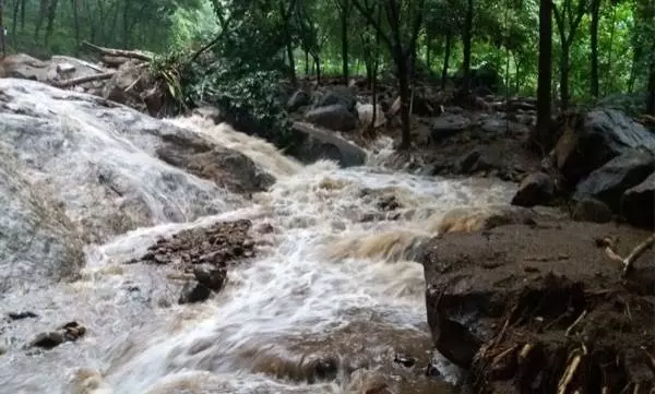 ഉരുള്പൊട്ടല്: ആദിവാസി കുടുംബങ്ങള്ക്ക് ഇനിയും സര്ക്കാര് സഹായം ലഭിച്ചില്ലെന്ന് പരാതി ഉരുള്പൊട്ടല്: ആദിവാസി കുടുംബങ്ങള്ക്ക് ഇനിയും സര്ക്കാര് സഹായം ലഭിച്ചില്ലെന്ന് പരാതി