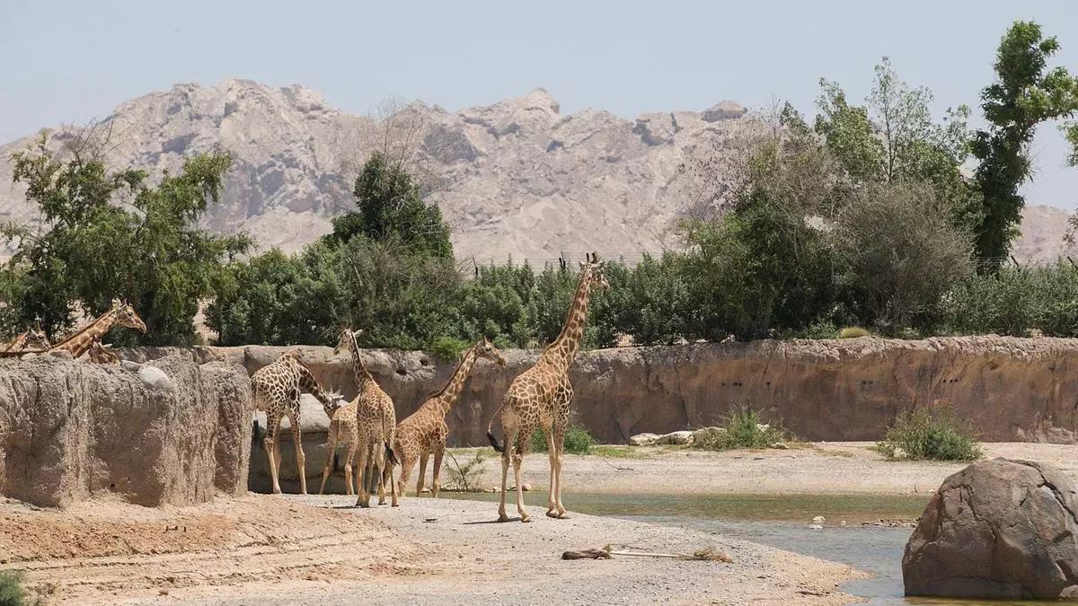 ജൈവസംരക്ഷണ ആഹ്വാനവുമായി അല്‍ എെനില്‍ മൃഗശാല സംരക്ഷണ സമ്മേളനം