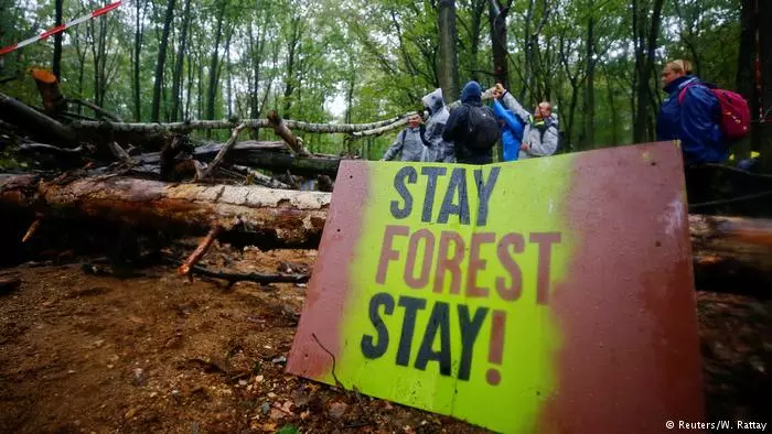 ഊര്‍ജ കമ്പനിക്കായുള്ള വന നശീകരണത്തിനെതിരെ ജര്‍മനിയില്‍ വ്യാപക പ്രതിഷേധം