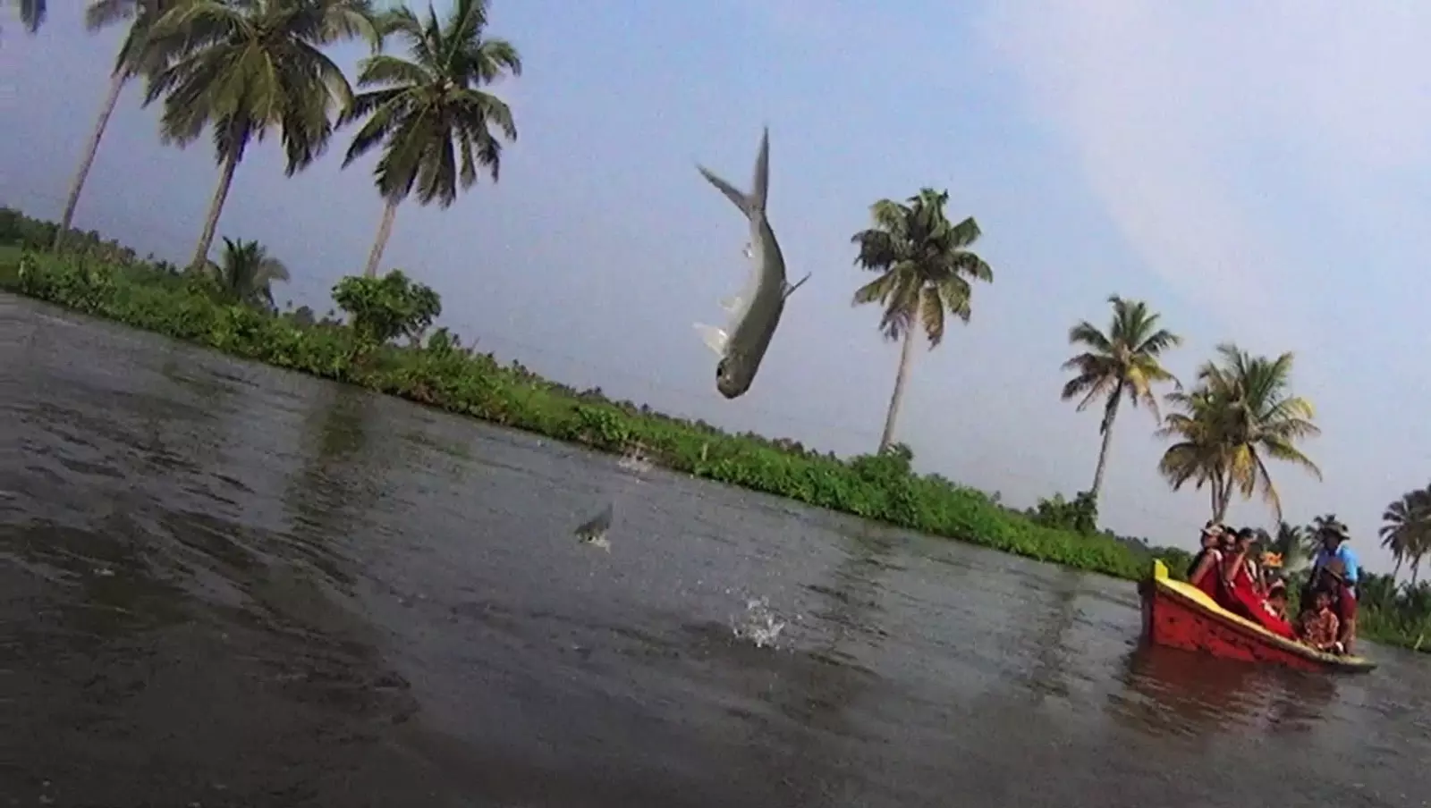 പ്രകൃതിസൗന്ദര്യം ആസ്വദിച്ച് കായല്വിഭവങ്ങളുടെ രുചിയറിയണോ? ഞാറക്കലേക്ക് പോകാം പ്രകൃതിസൗന്ദര്യം ആസ്വദിച്ച് കായല്വിഭവങ്ങളുടെ രുചിയറിയണോ? ഞാറക്കലേക്ക് പോകാം