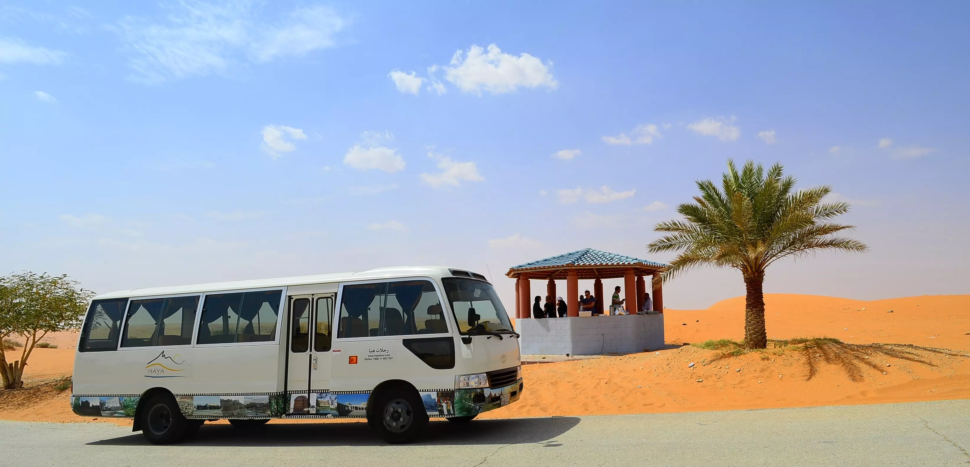 ഗതാഗതമടക്കമുള്ള നാല് മേഖലകളില് വിദേശ നിക്ഷേപം തടഞ്ഞ തീരുമാനം സൌദി അറേബ്യ റദ്ദാക്കി ഗതാഗതമടക്കമുള്ള നാല് മേഖലകളില് വിദേശ നിക്ഷേപം തടഞ്ഞ തീരുമാനം സൌദി അറേബ്യ റദ്ദാക്കി