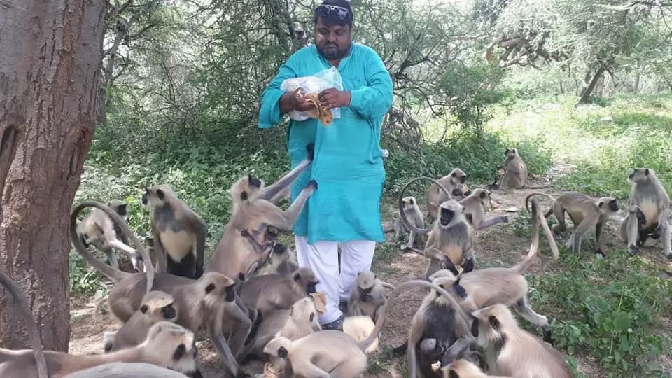 1700 ചപ്പാത്തിയുമായി കുരങ്ങുകളെ തേടി വരുന്ന ഒരാള്‍...