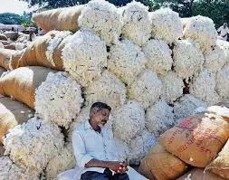 സ്പിന്നിംഗ് മില്ലിലേക്ക് കോട്ടണ് വാങ്ങല്: കോട്ടണ് കോര്പ്പറേഷന് ഓഫ് ഇന്ത്യയെ ഒഴിവാക്കുന്നു സ്പിന്നിംഗ് മില്ലിലേക്ക് കോട്ടണ് വാങ്ങല്: കോട്ടണ് കോര്പ്പറേഷന് ഓഫ് ഇന്ത്യയെ ഒഴിവാക്കുന്നു