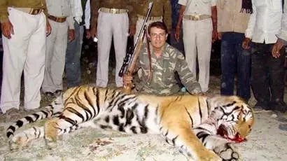 അവ്നിയെന്ന പെണ്കടുവയെ വെടിവെച്ചുകൊന്ന സംഭവം വിവാദമാകുന്നു അവ്നിയെന്ന പെണ്കടുവയെ വെടിവെച്ചുകൊന്ന സംഭവം വിവാദമാകുന്നു