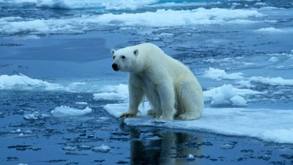 ലോകം നേരിടാന് പോകുന്നത് കടുത്ത പാരിസ്ഥിതിക വെല്ലുവിളിയെന്ന് യു.എന് ലോകം നേരിടാന് പോകുന്നത് കടുത്ത പാരിസ്ഥിതിക വെല്ലുവിളിയെന്ന് യു.എന്