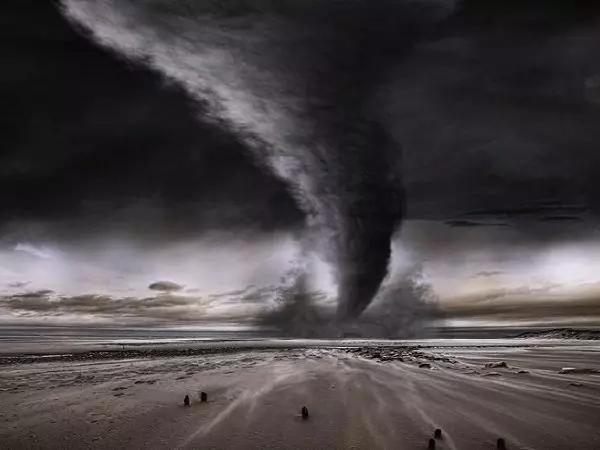 ഗജ ചുഴലിക്കാറ്റ് ഇന്ന് തീരം തൊടും;ഏഴ് ജില്ലകളില് ജാഗ്രത നിര്ദ്ദേശം ഗജ ചുഴലിക്കാറ്റ് ഇന്ന് തീരം തൊടും;ഏഴ് ജില്ലകളില് ജാഗ്രത നിര്ദ്ദേശം