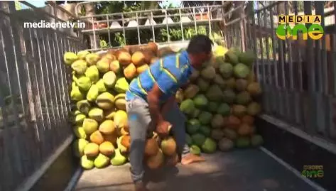 സലാലയില്‍ നിന്നും ചില തെങ്ങ് പാഠങ്ങള്‍  291 Part4