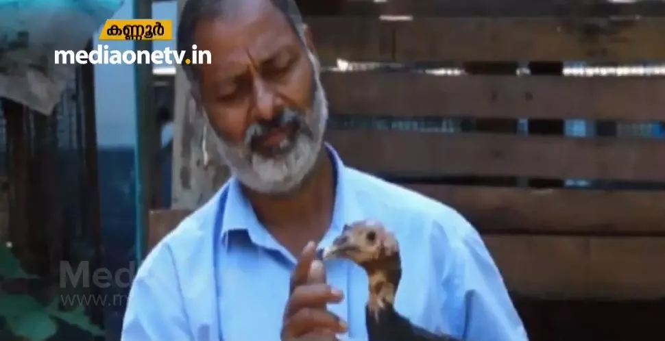 കൃഷി ചെയ്യാന് സ്ഥലമില്ല, സമയമില്ല എന്നൊക്കെ പറയുന്നവര് ഫ്രാന്സിസിന്റെ കൃഷിയിടമൊന്ന് കാണണം കൃഷി ചെയ്യാന് സ്ഥലമില്ല, സമയമില്ല എന്നൊക്കെ പറയുന്നവര് ഫ്രാന്സിസിന്റെ കൃഷിയിടമൊന്ന് കാണണം