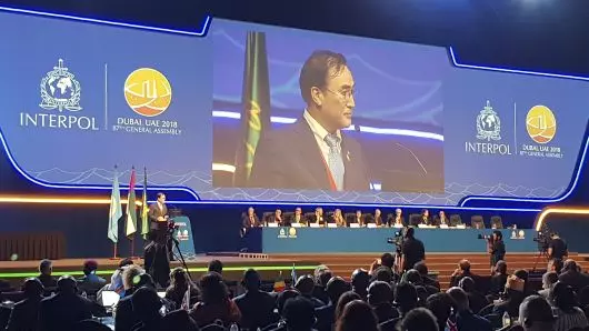 ഇന്റര്പോളിന് പുതിയ മേധാവി ഇന്റര്പോളിന് പുതിയ മേധാവി