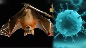 സംസ്ഥാനത്ത് നിപ ജാഗ്രതാ നിര്‍ദേശം; മുന്‍കരുതലെടുക്കാന്‍ മെഡിക്കല്‍ കോളജുകള്‍ക്ക് ആരോഗ്യ വകുപ്പിന്‍റെ നിര്‍ദേശം