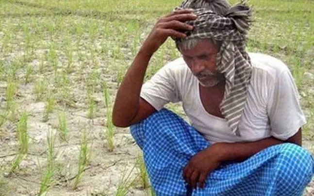 നോട്ടുനിരോധനം കാര്‍ഷിക മേഖലയെ തകര്‍ത്തുവെന്ന റിപ്പോര്‍ട്ട് കേന്ദ്ര കൃഷിമന്ത്രാലയം പിന്‍വലിച്ചു