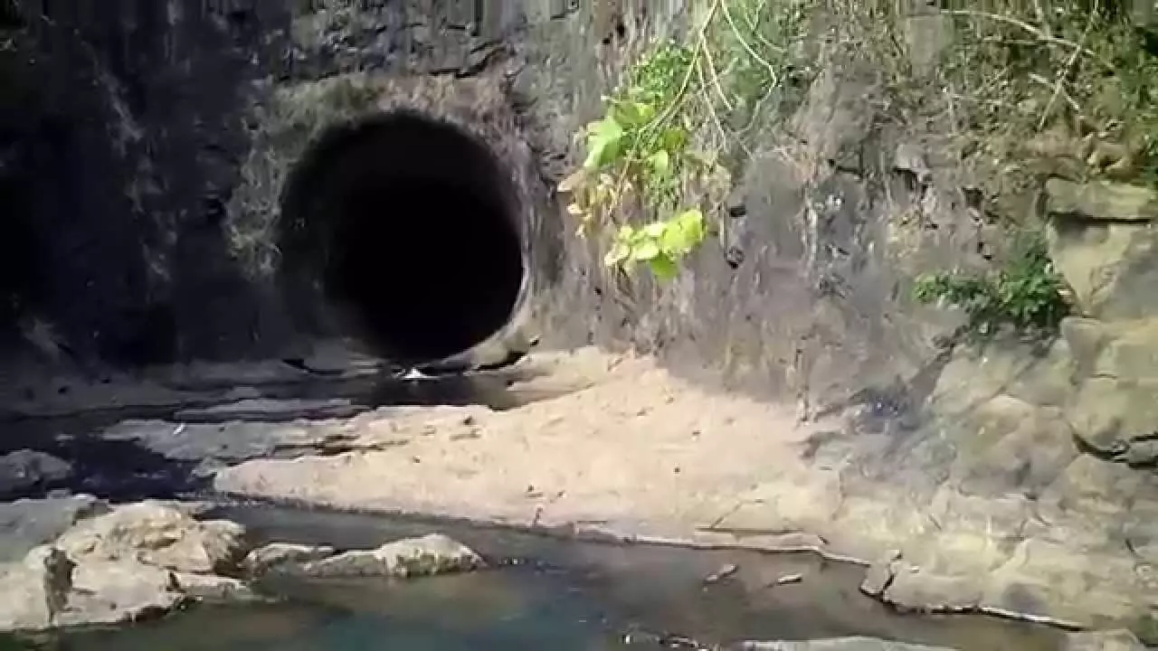 ഉപേക്ഷിച്ച തുരങ്കങ്ങള് വന്യജീവികളും വിഷ ജന്തുക്കളും താവളമാക്കുന്നു ഉപേക്ഷിച്ച തുരങ്കങ്ങള് വന്യജീവികളും വിഷ ജന്തുക്കളും താവളമാക്കുന്നു