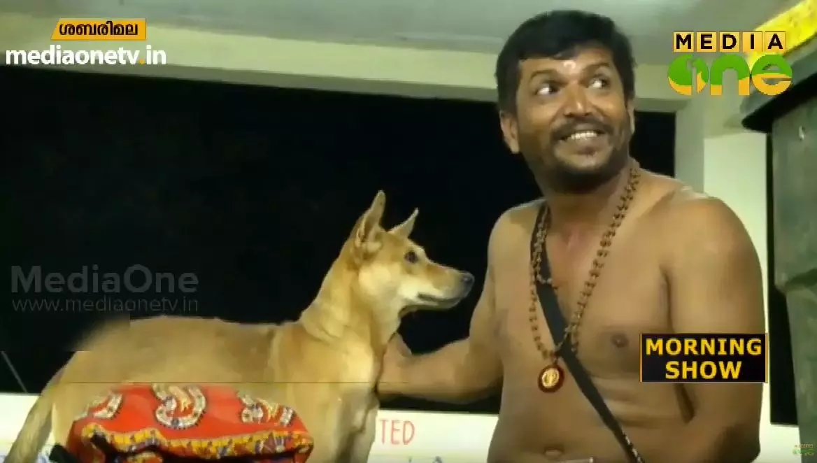 കാല്‍നടയായി ശബരിമലയിലെത്തുന്ന നവീന് കൂട്ടായെത്തുന്ന നായ്ക്കള്‍ 