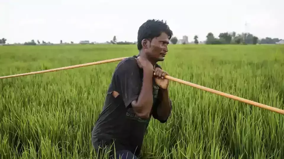 ഇത് മോദിക്ക് ഇരിക്കട്ടേ... 750 കിലോ ഉള്ളിക്ക് ലഭിച്ചത് 1064 രൂപ; പണം മോദിക്ക് അയച്ച് കര്‍ഷകന്‍
