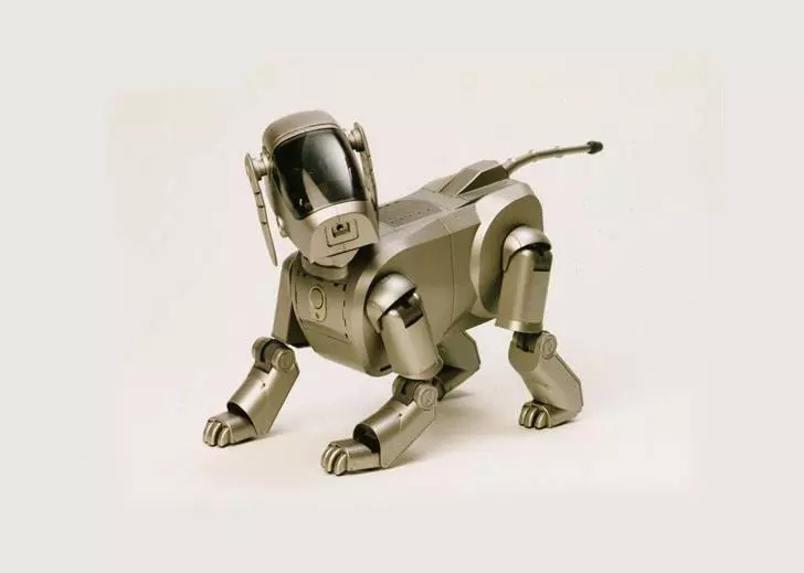 വിമാനത്താവളങ്ങളില്‍ സുരക്ഷക്ക് റോബോട്ട് നായകള്‍ എത്തിയേക്കും; പുതിയ സാങ്കേതിക സാധ്യതകള്‍ തേടി സി.ഐ.എസ്.എഫ്