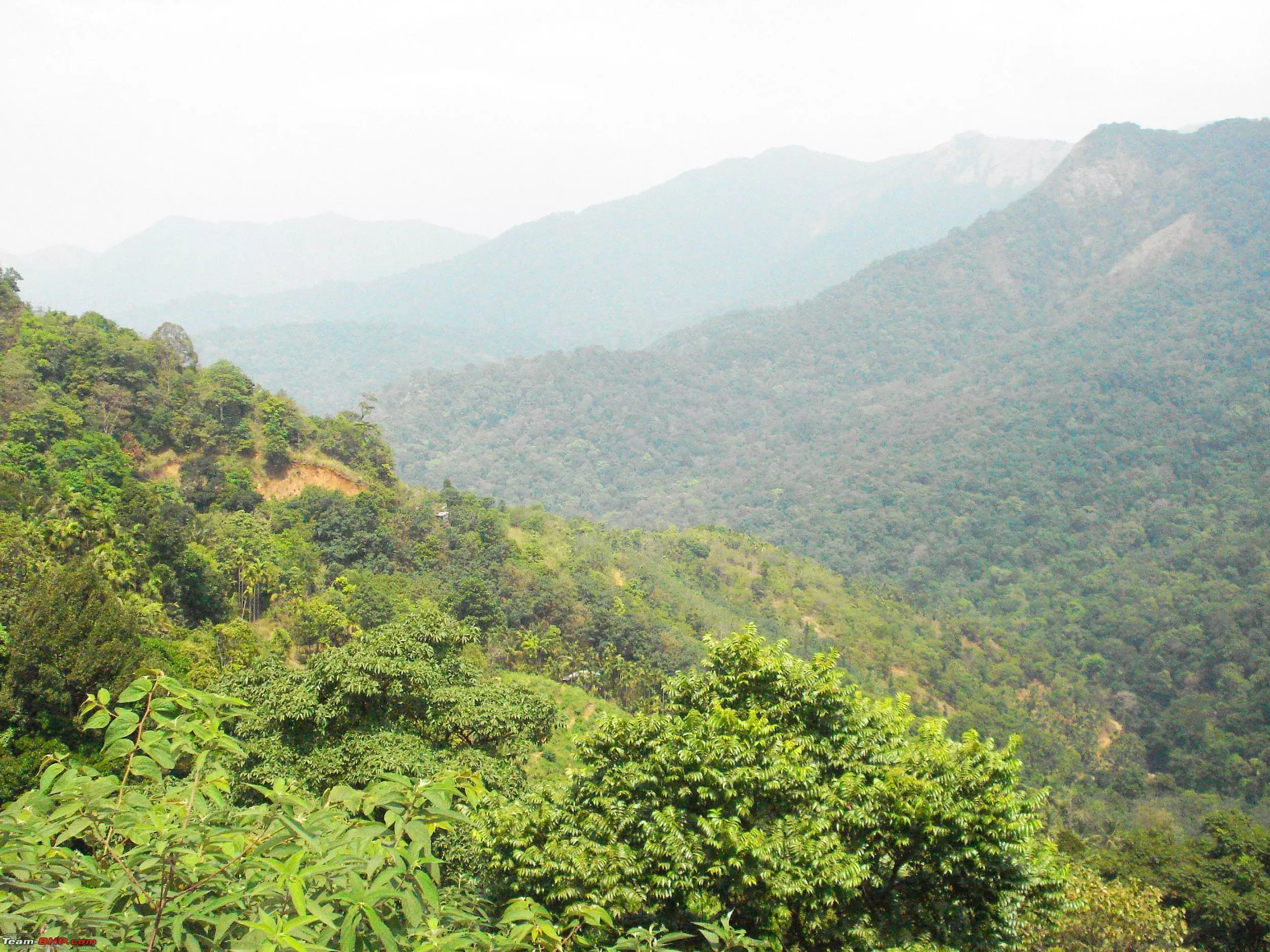 കണ്ണൂരില് വ്യാപക ഭൂമി കയ്യേറ്റം കണ്ണൂരില് വ്യാപക ഭൂമി കയ്യേറ്റം
