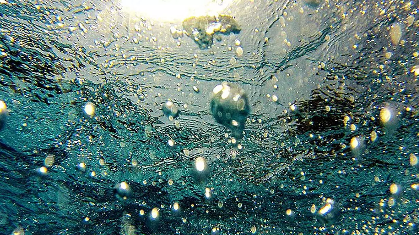 മാലിന്യത്തില്‍ മുങ്ങി മൂവാറ്റുപുഴയാര്‍; നാട്ടുകാര്‍ പ്രക്ഷോഭത്തിന് 