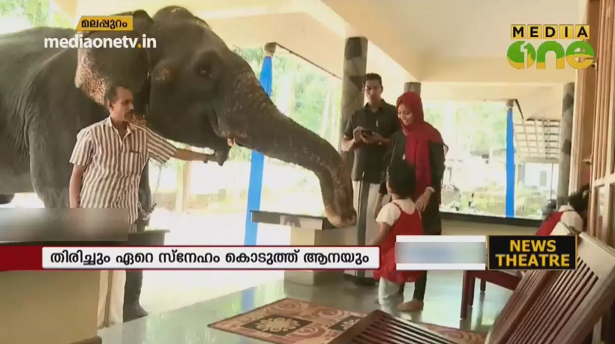 മിനി എന്ന ആനയും കൊളക്കാടൻ നാസറും തമ്മിലെ ബന്ധം 