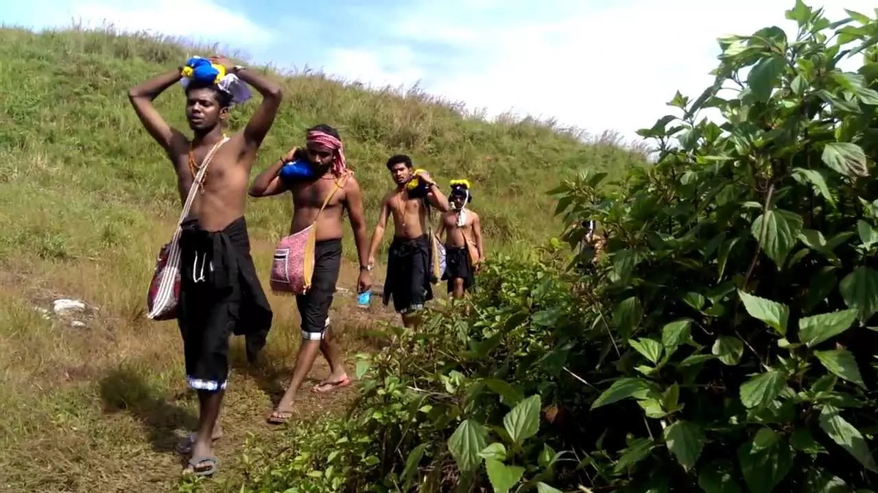 കാനനപാതയിലൂടെ പോകുന്ന തീർത്ഥാടകർക്ക് സേവനവുമായി വനംവകുപ്പ്