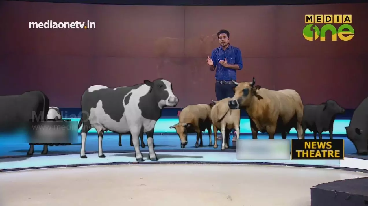 പശു രാഷ്ട്രീയായുധമാകുന്നു