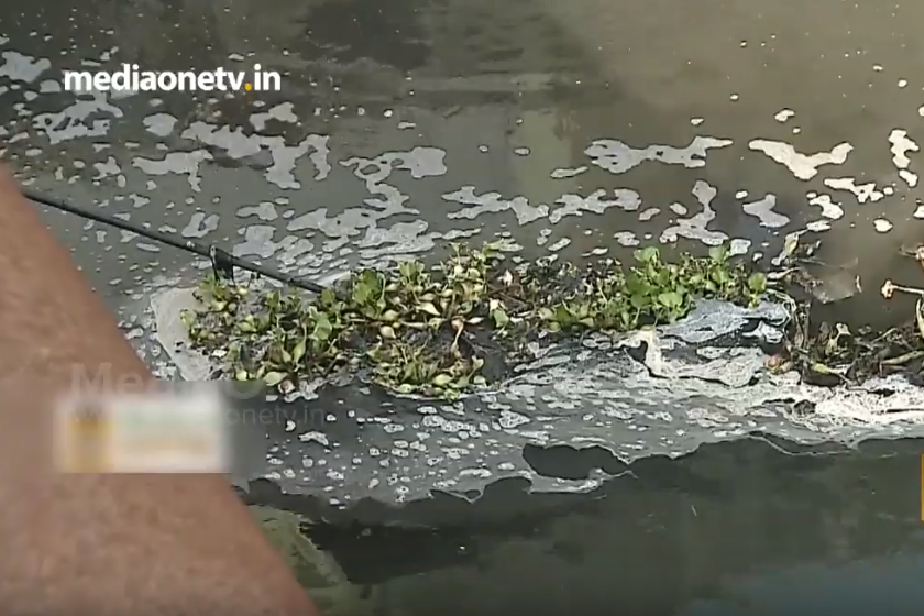 മാലിന്യം നിറഞ്ഞ് അരൂര്‍ പുത്തന്‍തോട്