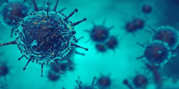 ഫ്രാന്സില് വൈറല് പനി; മരിച്ചവരുടെ എണ്ണം 1000 കടന്നു ഫ്രാന്സില് വൈറല് പനി; മരിച്ചവരുടെ എണ്ണം 1000 കടന്നു