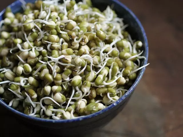 മുളപ്പിച്ച പയര് വര്ഗങ്ങള് കഴിച്ചാല് മുളപ്പിച്ച പയര് വര്ഗങ്ങള് കഴിച്ചാല്