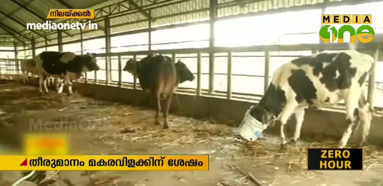 നിലക്കല്‍ ഗോശാലയുടെ പ്രവർത്തനം വിപുലീകരിക്കും