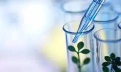 ഔഷധ സസ്യ ഗവേഷണ കേന്ദ്രത്തിൽ നടക്കുന്ന മറ്റു പ്രവർത്തനങ്ങൾ 