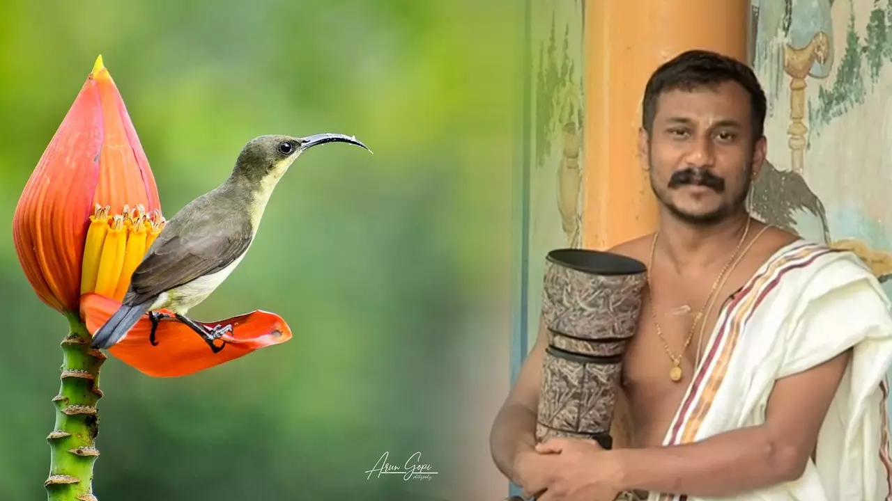 ഫോട്ടോഗ്രഫി പഠിപ്പിക്കാന് പറ്റില്ല, പഠിക്കാന് പറ്റും; ഫോട്ടോഗ്രഫി പഠിച്ച് വൈല്ഡ് ലൈഫ് ഫോട്ടോഗ്രാഫറായ മേല്ശാന്തി ഫോട്ടോഗ്രഫി പഠിപ്പിക്കാന് പറ്റില്ല, പഠിക്കാന് പറ്റും; ഫോട്ടോഗ്രഫി പഠിച്ച് വൈല്ഡ് ലൈഫ് ഫോട്ടോഗ്രാഫറായ മേല്ശാന്തി