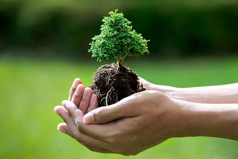 പ്രകൃതിക്കൊരു വോട്ട്; പ്രകൃതി സംരക്ഷകനൊരു വോട്ട് പ്രകൃതിക്കൊരു വോട്ട്; പ്രകൃതി സംരക്ഷകനൊരു വോട്ട്