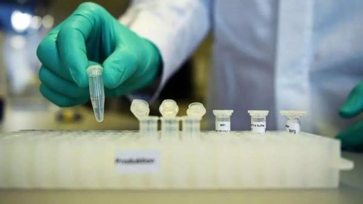 രാജ്യത്ത് പുതിയ കോവിഡ് ചട്ടം ഇന്ന് മുതല്: ബോധവത്കരണവുമായി വിമാനക്കമ്പനികള് രാജ്യത്ത് പുതിയ കോവിഡ് ചട്ടം ഇന്ന് മുതല്: ബോധവത്കരണവുമായി വിമാനക്കമ്പനികള്