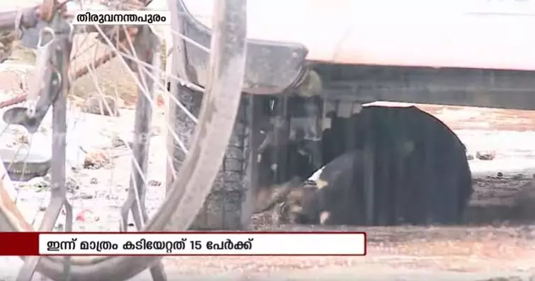 തലസ്ഥാനത്ത് ഭീതി പരത്തി തെരുവുനായ; നടപടിയെടുക്കാതെ കോര്‍പ്പറേഷന്‍  