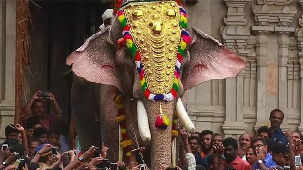 തൃശൂർ പൂര വിളംബരത്തിന് തെച്ചിക്കോട്ട് കാവ് രാമചന്ദ്രനില്ല; എറണാകുളം ശിവകുമാര് തെക്കേ ഗോപുര നട തുറക്കും തൃശൂർ പൂര വിളംബരത്തിന് തെച്ചിക്കോട്ട് കാവ് രാമചന്ദ്രനില്ല; എറണാകുളം ശിവകുമാര് തെക്കേ ഗോപുര നട തുറക്കും