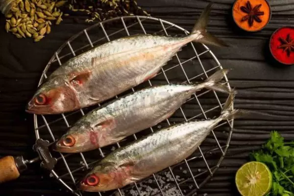 യൂറിക് ആസിഡ് ഉണ്ടോ? ചാള, അയല എന്നിവ ഒഴിവാക്കിക്കോളൂ