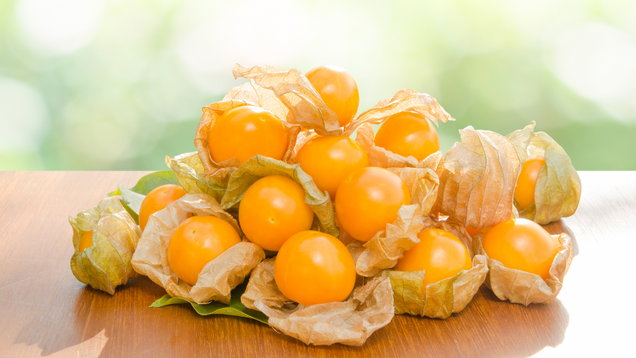 à´†à´ªàµà´ªà´¿à´³àµà´‚ à´®àµà´¨àµà´¤à´¿à´°à´¿à´¯àµà´‚ à´®à´¾à´±à´¿à´¨à´¿à´²àµâ€à´•àµà´•àµà´‚ à´—àµ‹à´³àµâ€à´¡à´¨àµâ€ à´¬àµ†à´±à´¿à´¯àµà´Ÿàµ†