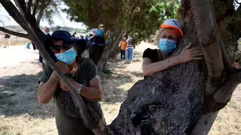 കോവിഡ് നിങ്ങളുടെ പ്രിയപ്പെട്ടവരുടെ ആലിംഗനം നഷ്ടപ്പെടുത്തിയോ? എങ്കില്‍ മരങ്ങളെ കെട്ടിപ്പിടിക്കൂവെന്ന് ഇസ്രായേല്‍