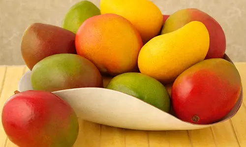 മാമ്പഴം ഹൃദ്രോഗത്തെയും പ്രമേഹത്തെയും തടയുമെന്ന് പഠനം