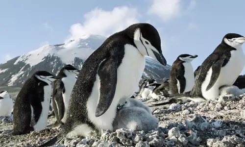 ഒരു നിമിഷം കൊണ്ട് മിന്നിമായുന്ന പ്രകൃതിയുടെ അത്ഭുതം ഒരു നിമിഷം കൊണ്ട് മിന്നിമായുന്ന പ്രകൃതിയുടെ അത്ഭുതം